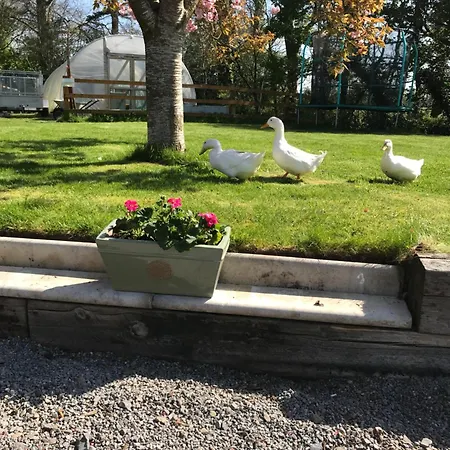 Riverfield Athboy