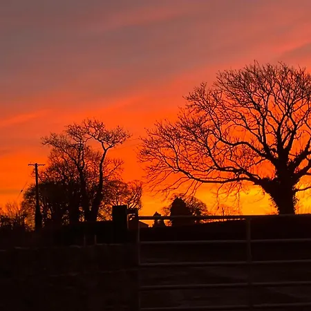 Lägenhet Riverfield Athboy